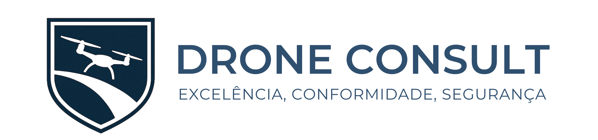 Drone Connsult Logo Fundo Branco
